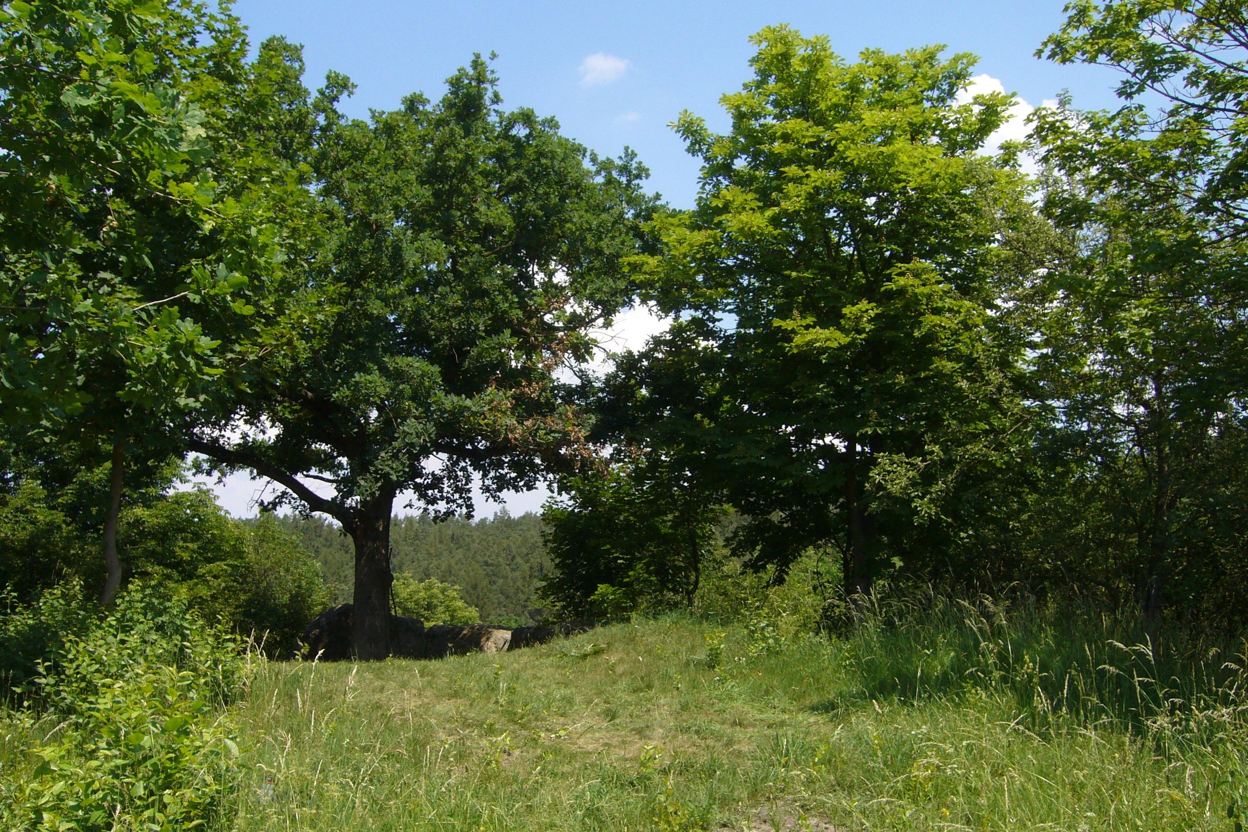Komberk