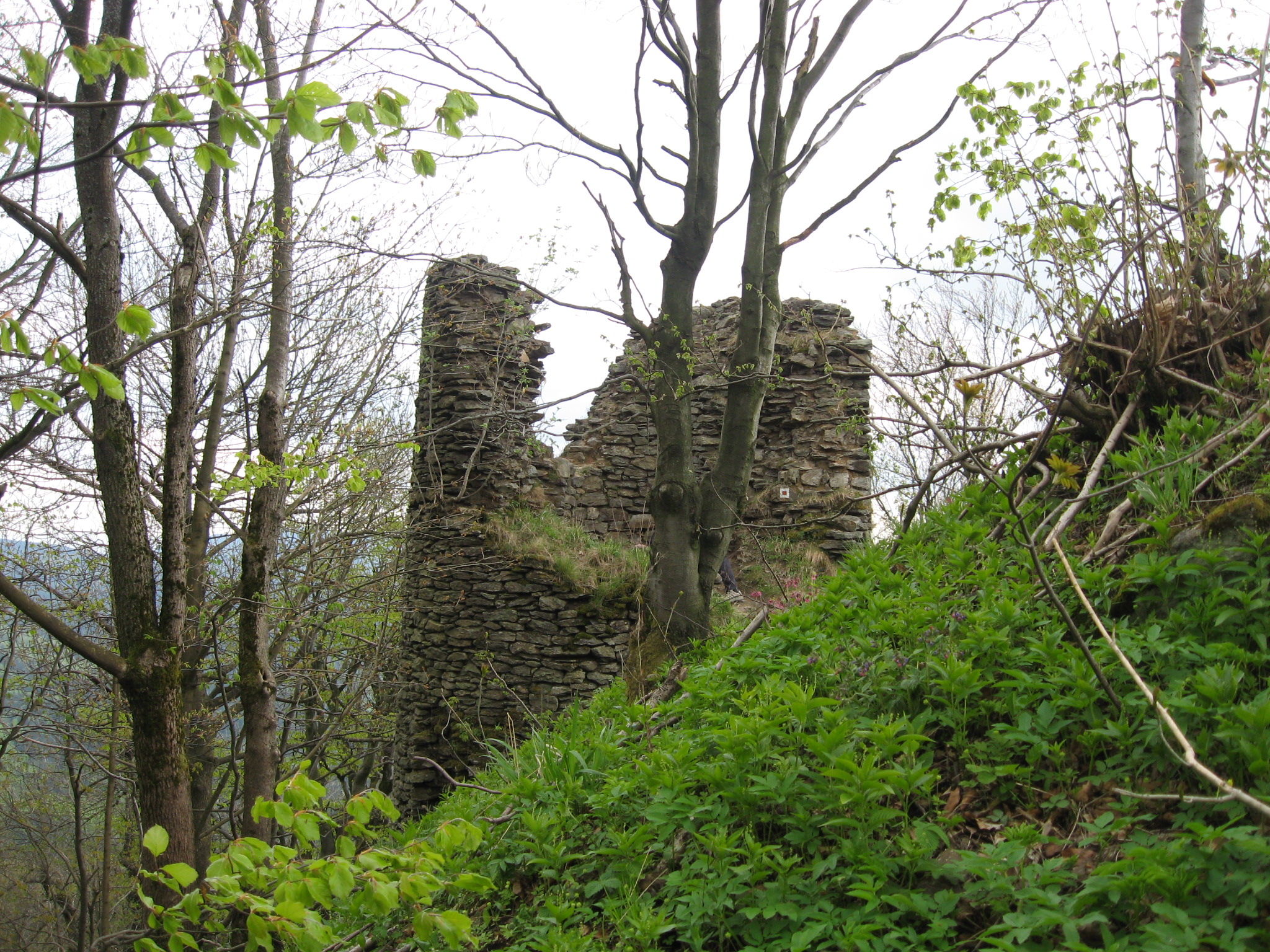 Starý Herštejn